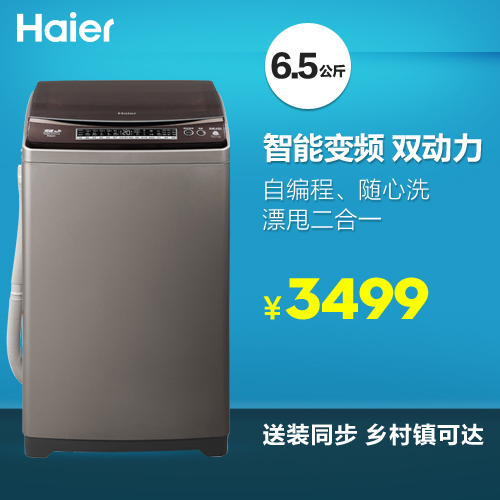 Haier/ϴ»XQS65-BYD1318