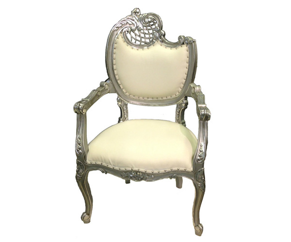 Houzz 法国风格银白扶手椅
