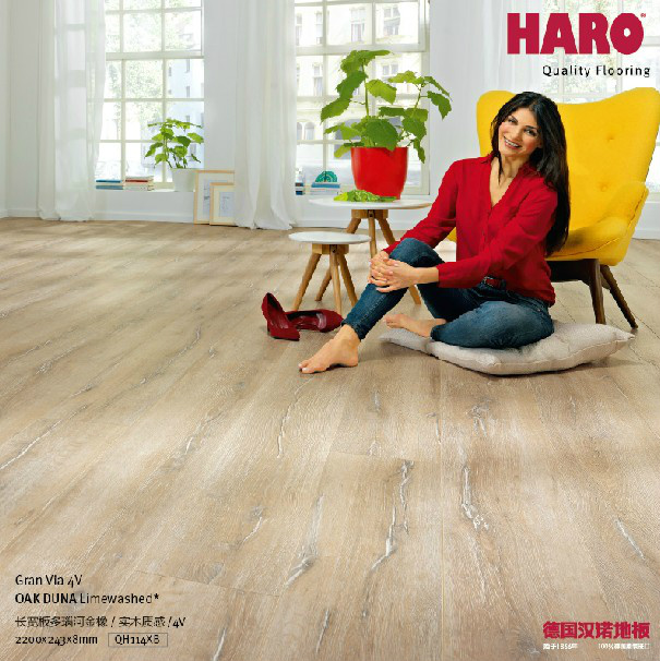 HARO德国汉诺地板 100%德国原装进口强化复合木地板 QH114XB