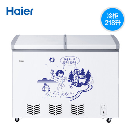 Haier/BC/BD-218SHT