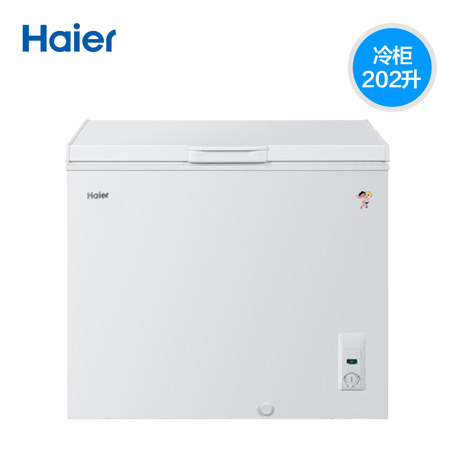 Haier/BC/BD-202HT