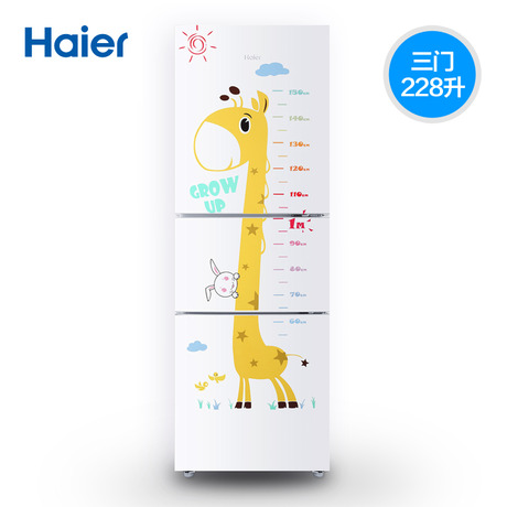 Haier/BCD-228S2