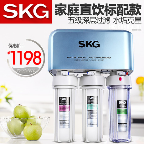 SKGˮ4250